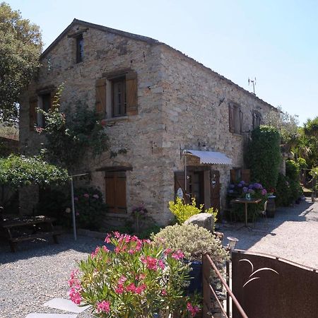 Bed and Breakfast A Casa Di Paulina Casta Екстер'єр фото